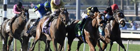 sportsline picks horse racing